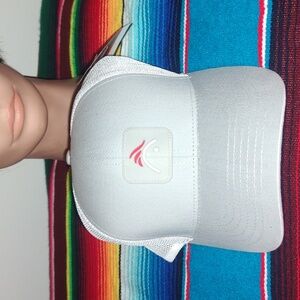 Aviagen Poultry Breeder Chicken Turkey Feed Farmer Strap-on Trucker Mesh Cap New